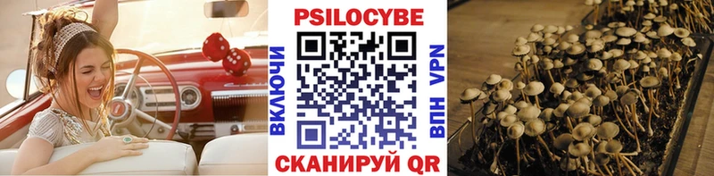 Галлюциногенные грибы MAGIC MUSHROOMS  Зеленодольск 