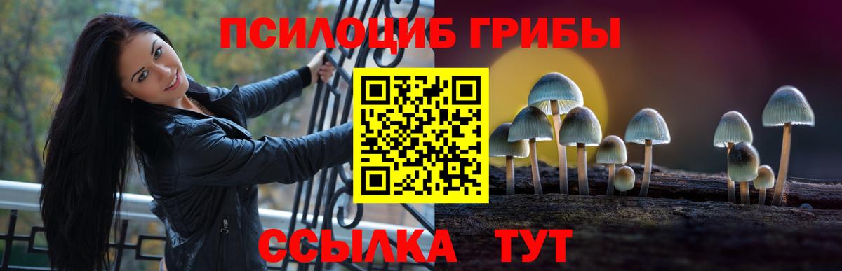 Галлюциногенные грибы ЛСД Зеленодольск